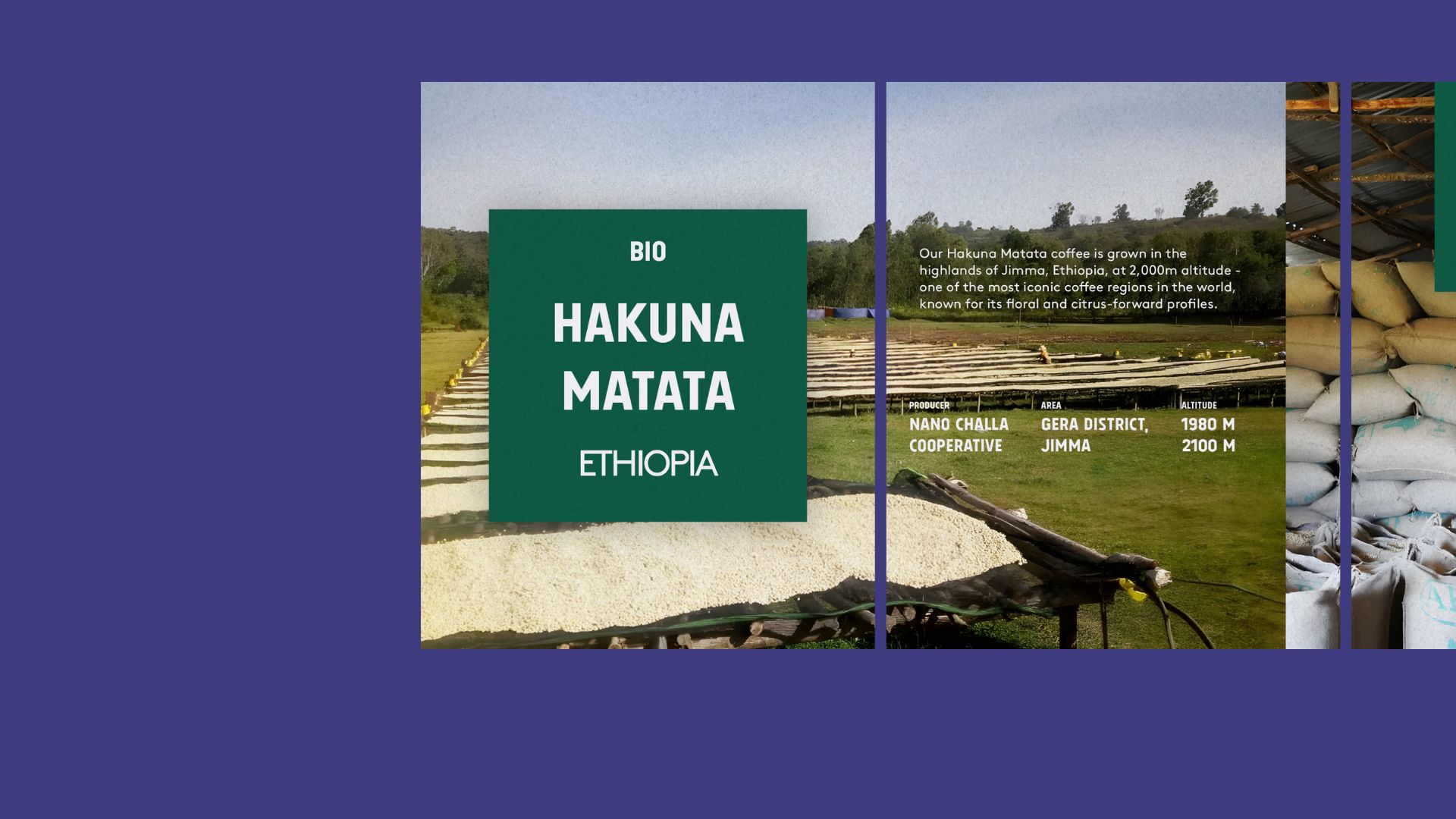 Blog cover image