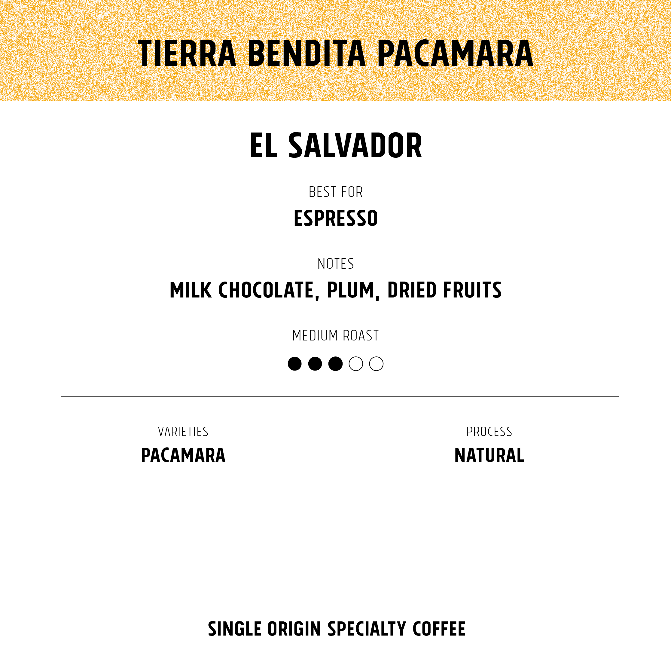Tierra Bendita Pacamara