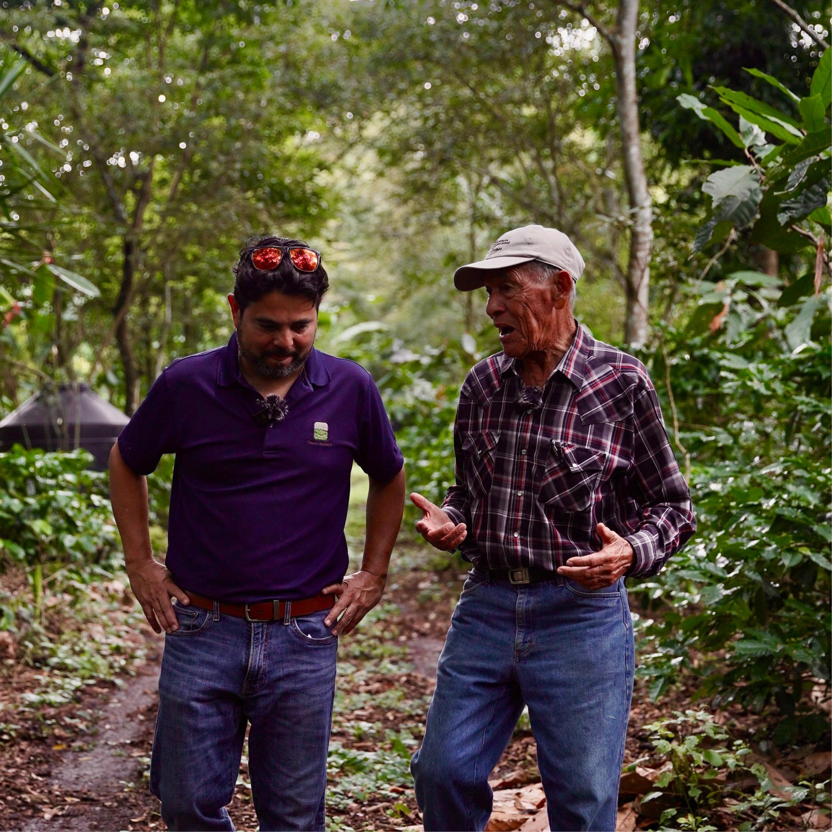 El Salvador Collection