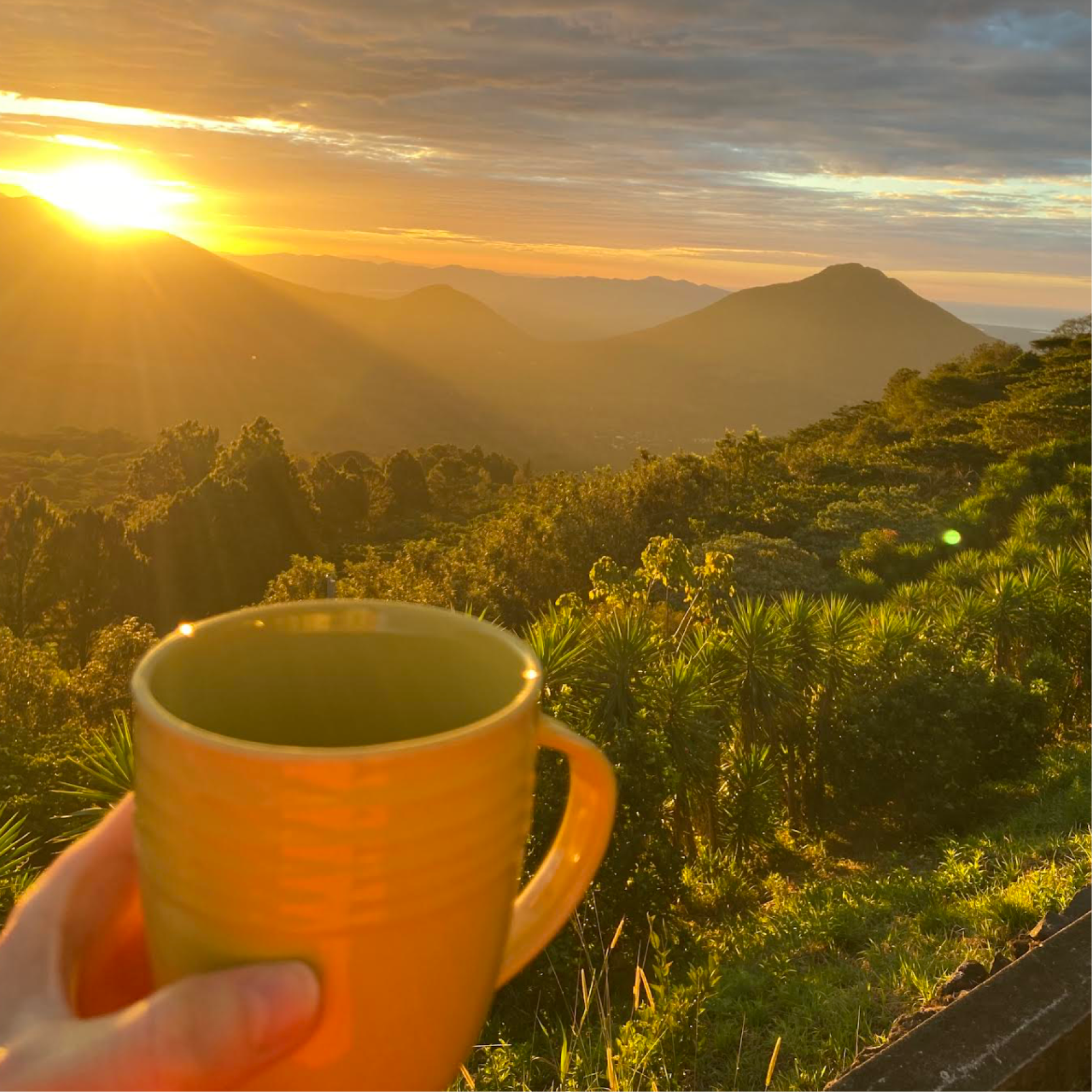 El Salvador Collection